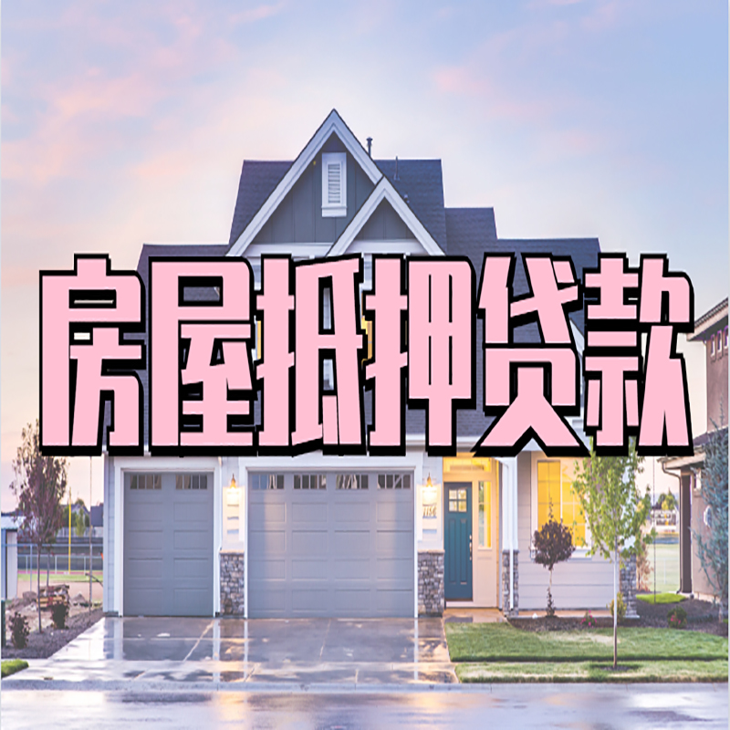 浩口原种场私人借款条件