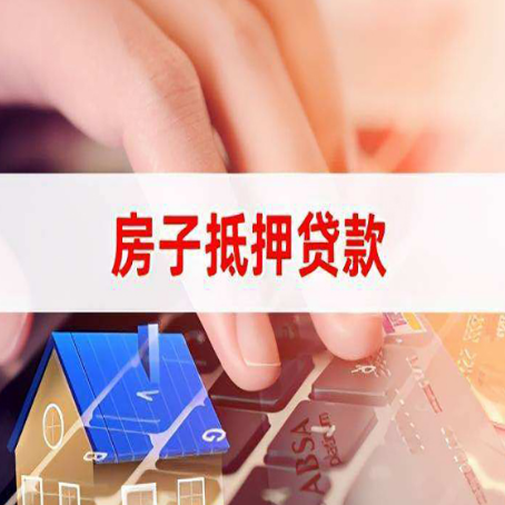 浩口原种场靠谱的贷款公司新渝启服怎么联系